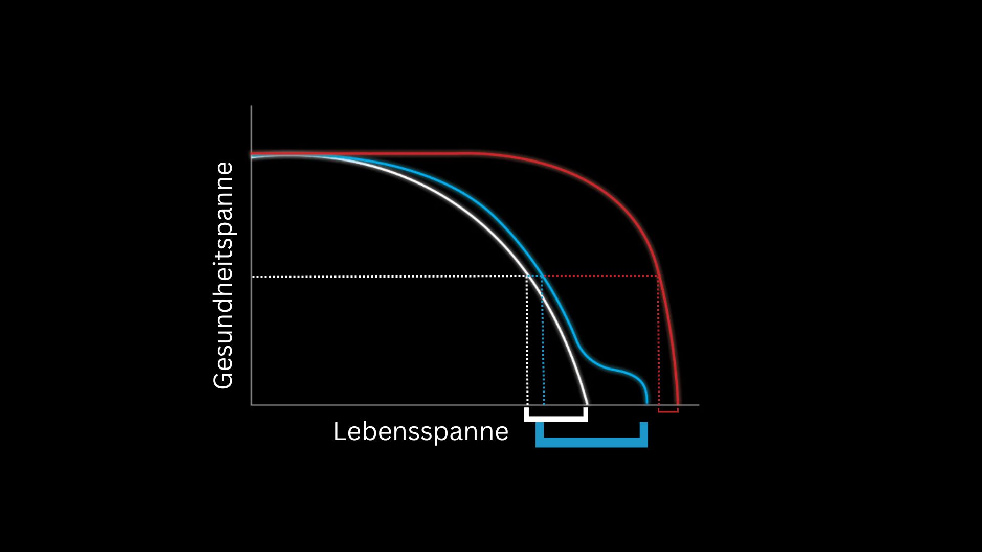 gesundheitsspanne