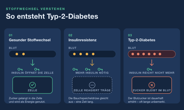 wie funktioniert diabetes