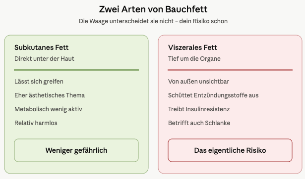 bauchfett arten