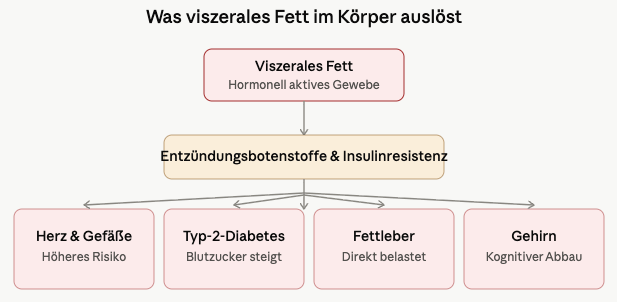 nachteile von bauchfett