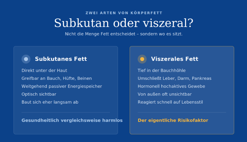 viszerales fett