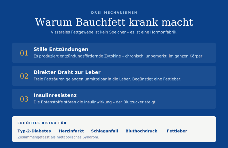 viszerales fett